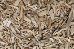 biomass boilers Allerton